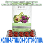 Холін-Артишок-Розторопша, Vivasan, Швейцарія