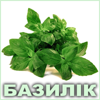 Ефірна олія базиліка солодкого французького Vivasan