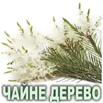 Ефірна олія чайного дерева Vivasan