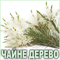 Ефірна олія чайного дерева Vivasan