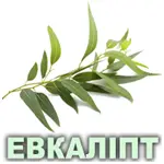 Ефірна олія евкаліпта Vivasan