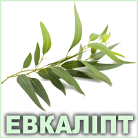 Ефірна олія евкаліпта Vivasan