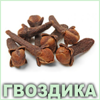 Ефірна олія гвоздики Vivasan