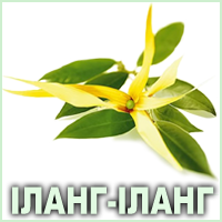 Ефірна олія іланг-ілангу коморського Vivasan
