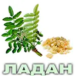Ефірна олія ладану індійського Vivasan