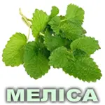 Ефірна олія меліси лимонної Vivasan