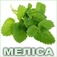 Ефірна олія меліси лимонної Vivasan