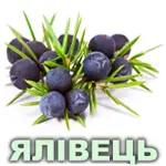 Ефірна олія ялівцю європейського Vivasan