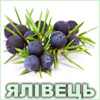 Ефірна олія ялівцю європейського Vivasan