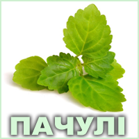 Ефірна олія пачулі сінгапурського Vivasan