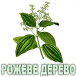 Ефірна олія рожевого дерева Vivasan