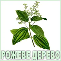 Ефірна олія рожевого дерева Vivasan