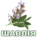 Ефірна олія шавлії мускатної французької Vivasan