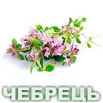 Ефірна олія чебрецю білого французького Vivasan