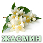 Ефірна олія жасмину єгипетського Vivasan