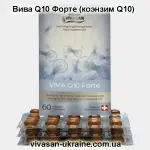 Вива Q10 Форте Vivasan
