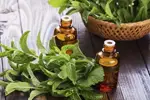 Эфирные масла для похудения