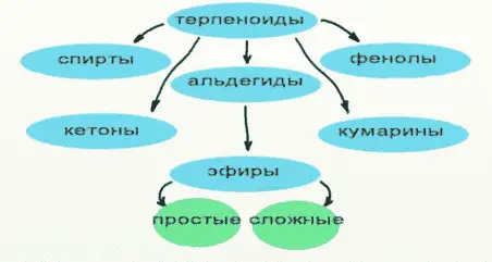 Хімія ефірних олій