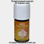 Композиция Я полон сил Вивасан, Швейцария
