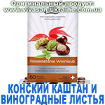 Конский каштан и виноградные листья (Rosskastanie Weinlaub) Вивасан, Швейцария