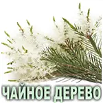 Эфирное масло чайного дерева Vivasan
