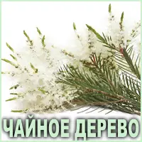 Эфирное масло чайного дерева Vivasan