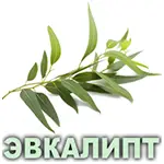 Эфирное масло эвкалипта Vivasan