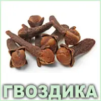 Эфирное масло гвоздики Vivasan