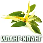 Эфирное масло иланг-иланга коморского Vivasan