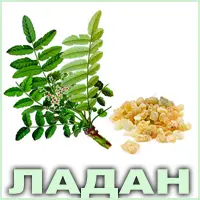 Эфирное масло ладана индийского Vivasan