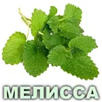Эфирное масло мелиссы лимонной Vivasan