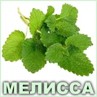 Эфирное масло мелиссы лимонной Vivasan