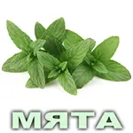Эфирное масло мяты перечной Vivasan