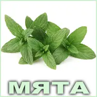 Эфирное масло мяты перечной Vivasan