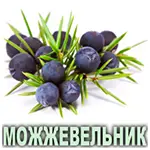 Эфирное масло можжевельника европейского Vivasan