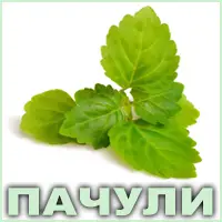Эфирное масло пачули сингапурского Vivasan