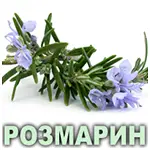 Эфирное масло розмарина испанского Vivasan