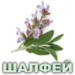 Эфирное масло шалфея мускатного французского Vivasan