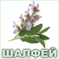 Эфирное масло шалфея мускатного французского Vivasan