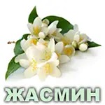 Эфирное масло жасмина египетского Vivasan