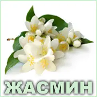 Эфирное масло жасмина египетского Vivasan