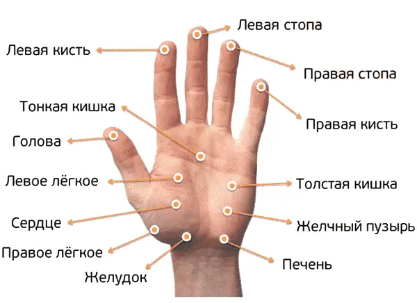 Рефлексотерапія з ефірними оліями. Ароматерапія та акупунктура