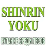 Композиция 100% эфирных масел Купание среди лесов (Shinrin Yoku)